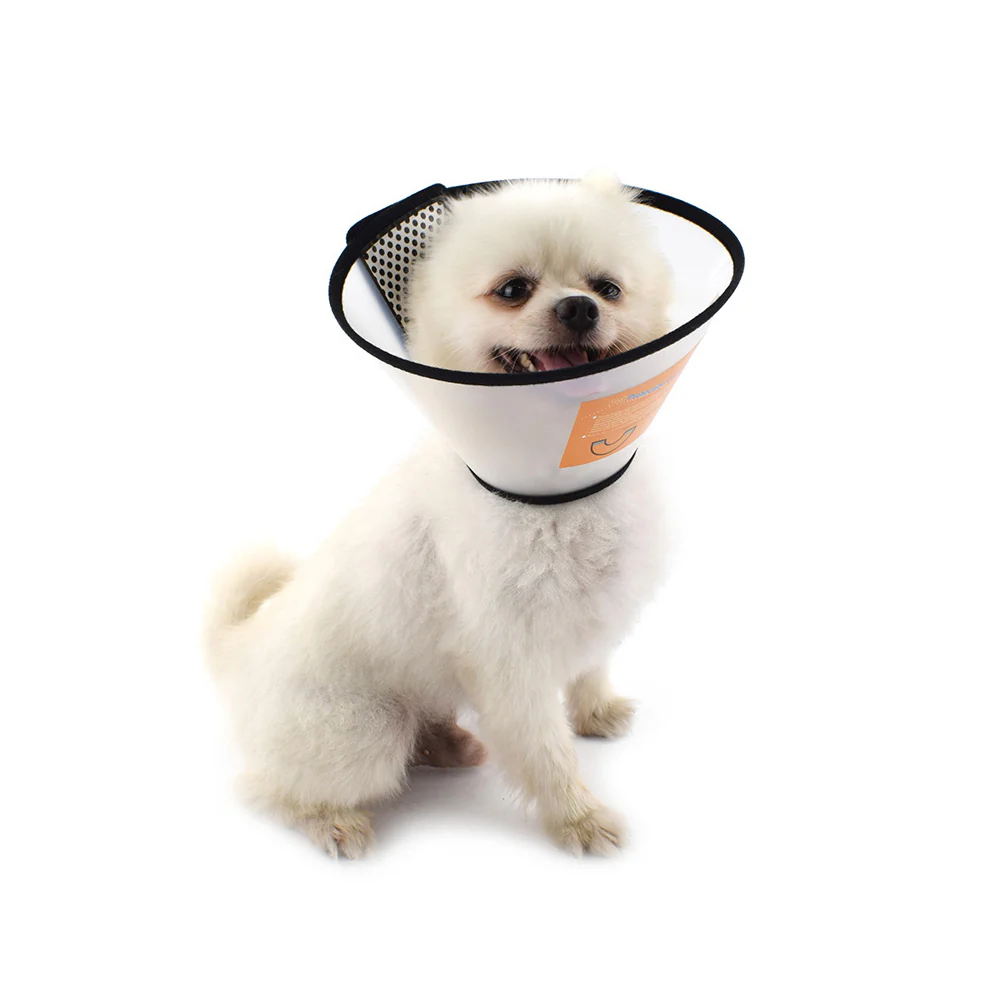 Pet Plastic Elizabethan Protective Collar #1 ~ #7 - Image 12