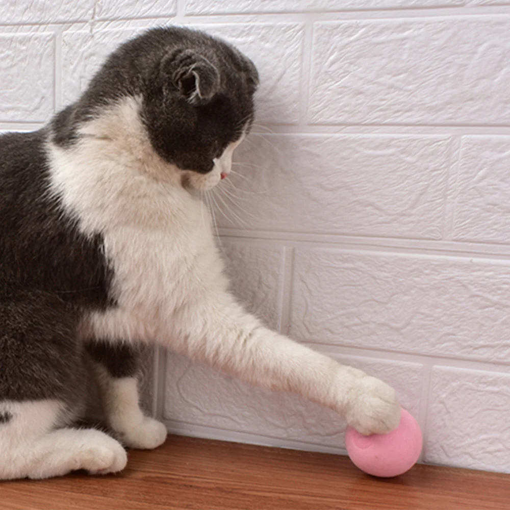 PETGRAVITY Smart Interactive Animal Sound Squeaking Ball Cat Toys - Image 4