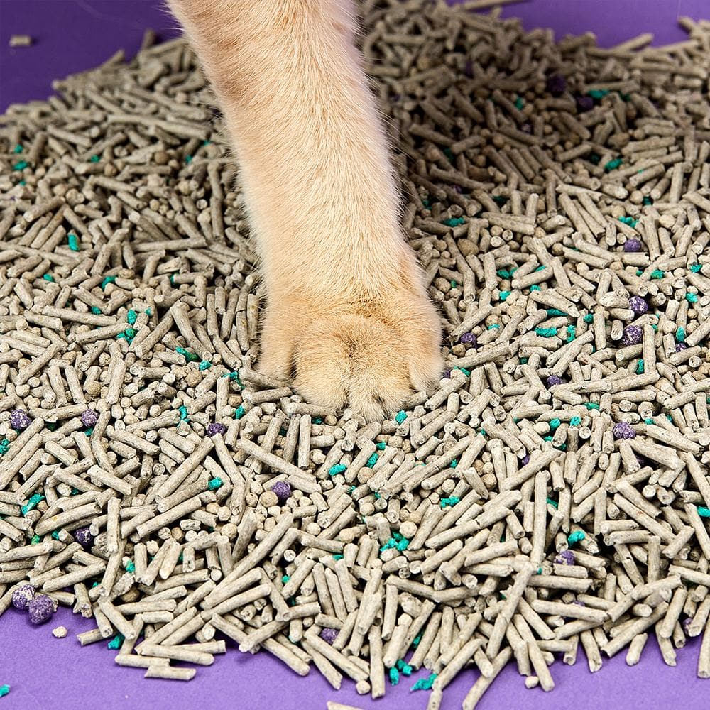 PETKIT 5-In-1 Biodegradable & Flushable Active Carbon Mineral Mixed Tofu Cat Litter - Image 3