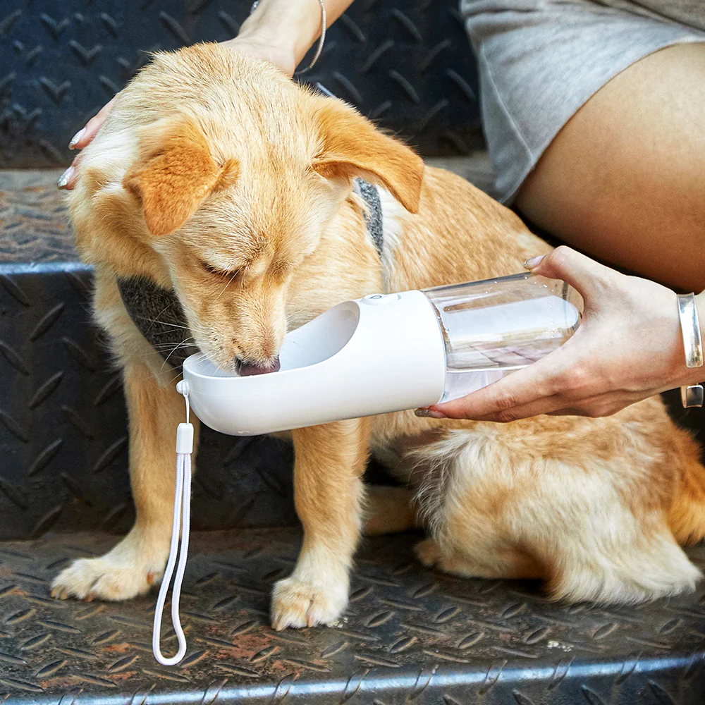 PETKIT Eversweet White Travel Water Bottle 400ml - Image 10