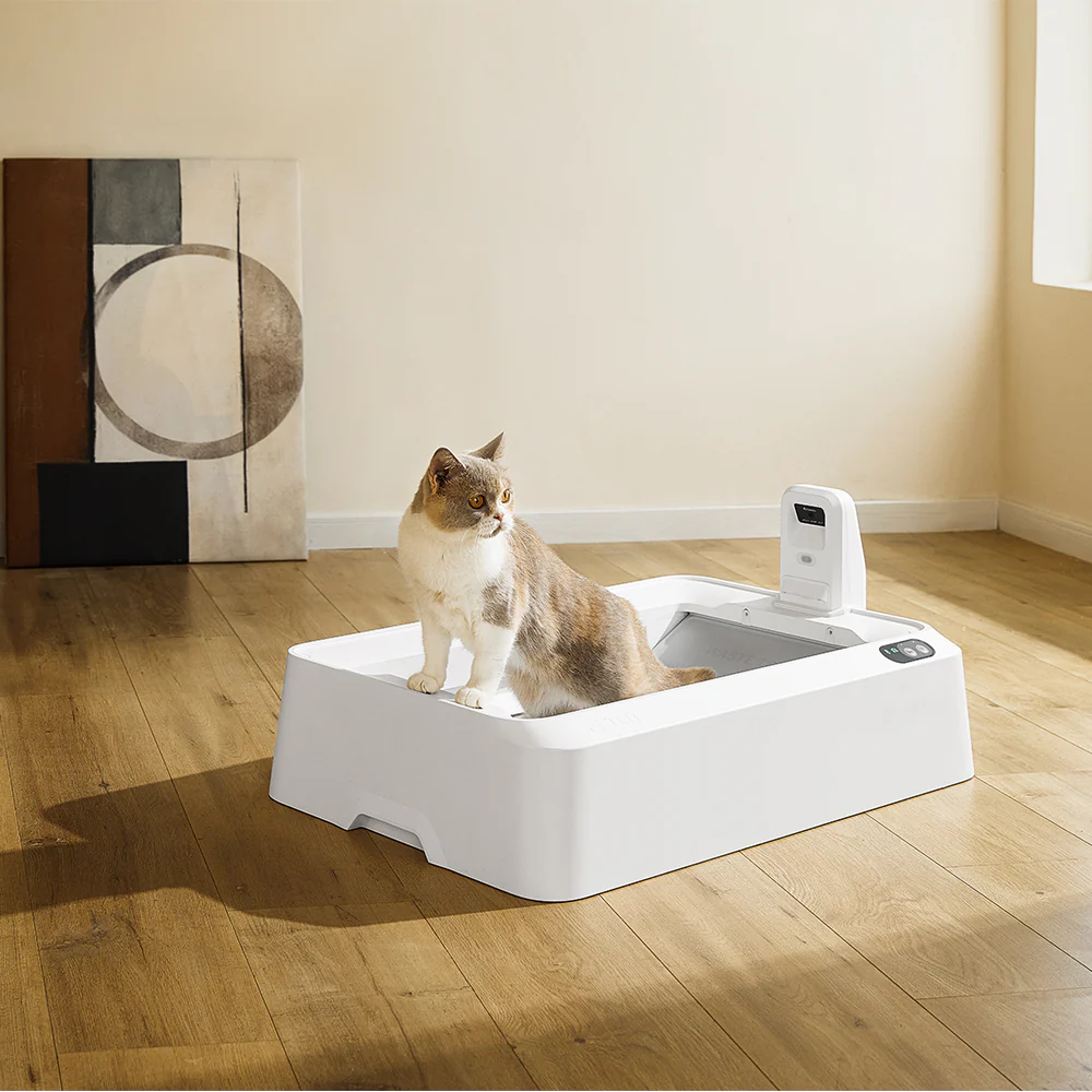 PETKIT Purobot Crystal Duo With Camera Self-Cleaning Cat Litter Box - Image 8