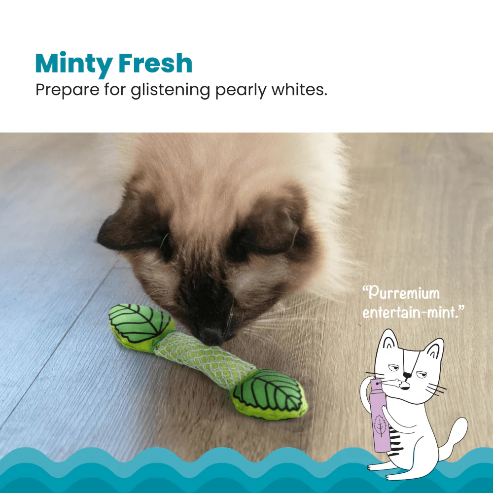 PETSTAGES Fresh Breath Mint Stick Cat Toy - Image 4