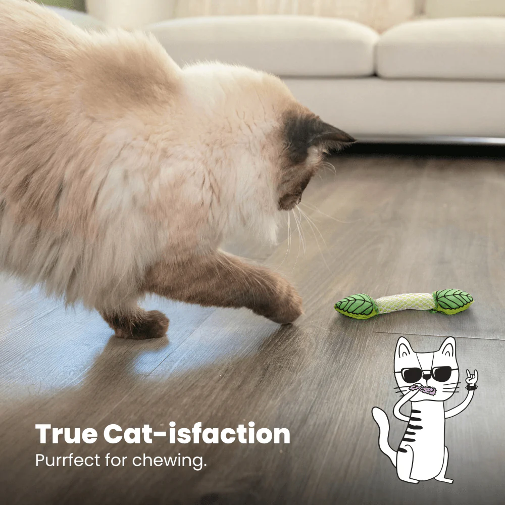 PETSTAGES Fresh Breath Mint Stick Cat Toy - Image 7
