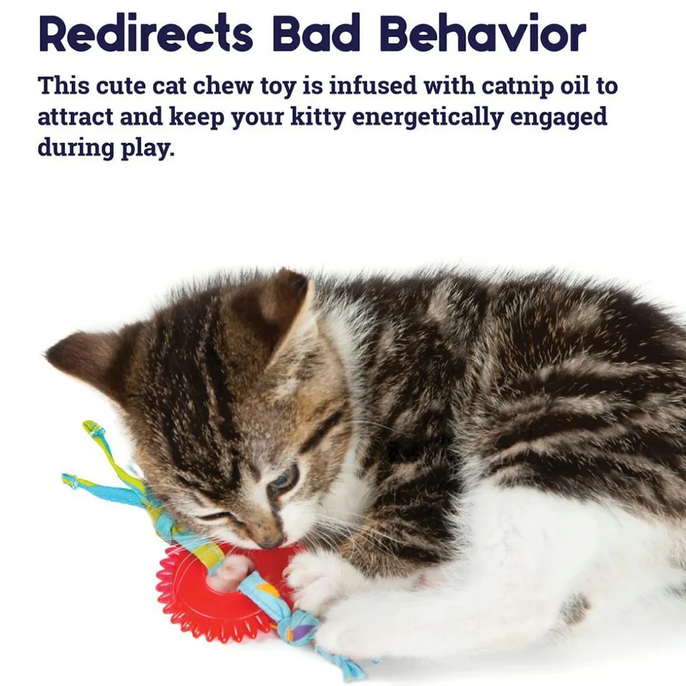 PETSTAGES Kitty Chew Wheel Cat Toy - Image 6