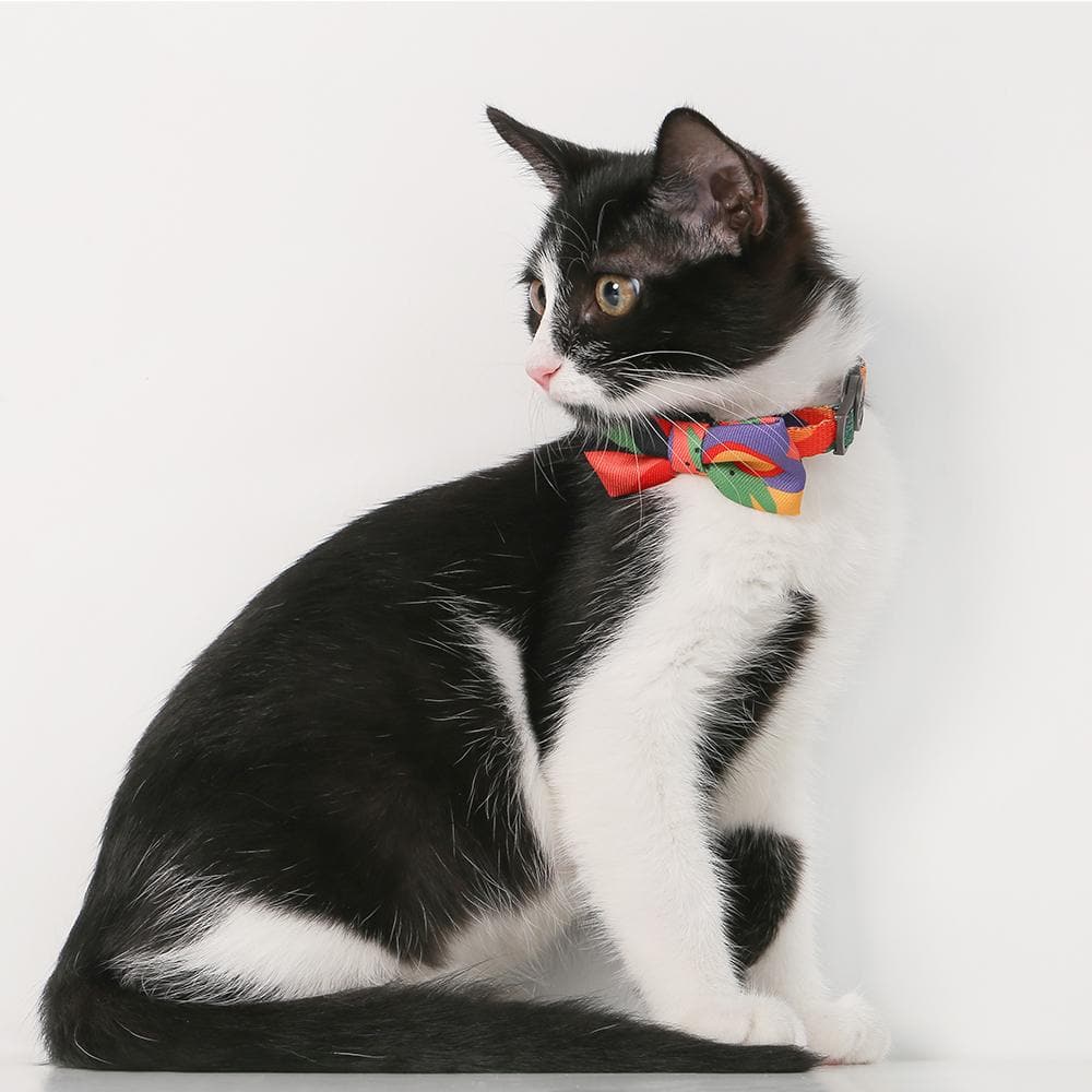 PIDAN A2 Bow Tie Cat Collar - Image 3