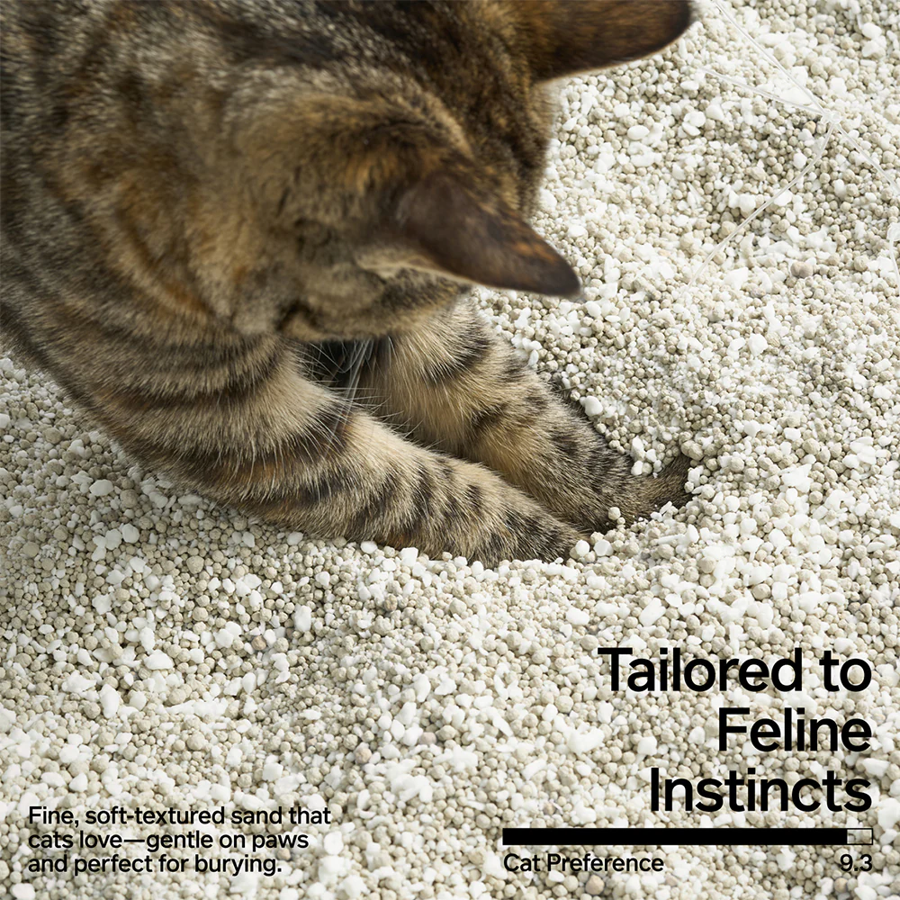 PIDAN Cassava & Bentonite Cat Litter - Image 6