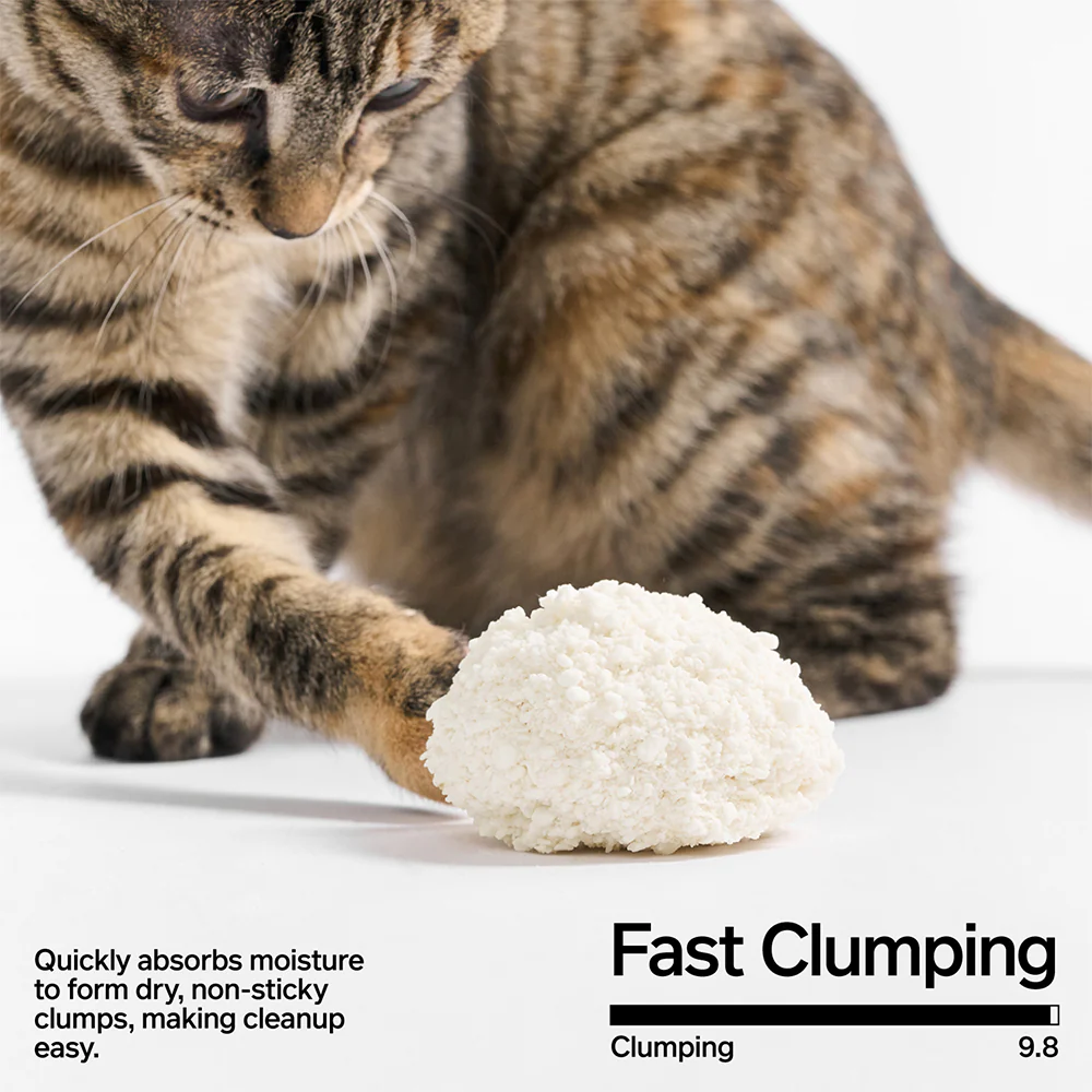 PIDAN Cassava Cat Litter - Image 4