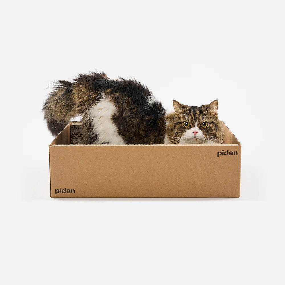 PIDAN Cat Scratcher Carton Type - Image 7