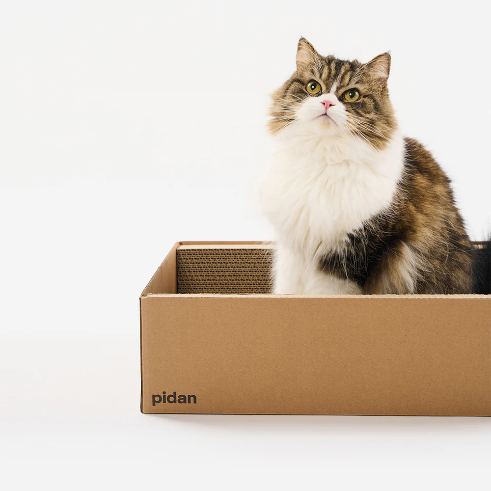 PIDAN Cat Scratcher Carton Type - Image 8