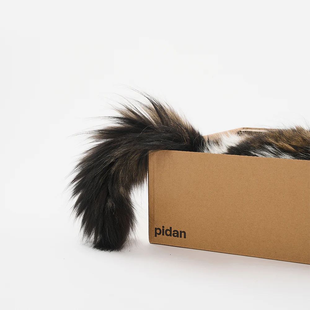 PIDAN Cat Scratcher Carton Type - Image 9