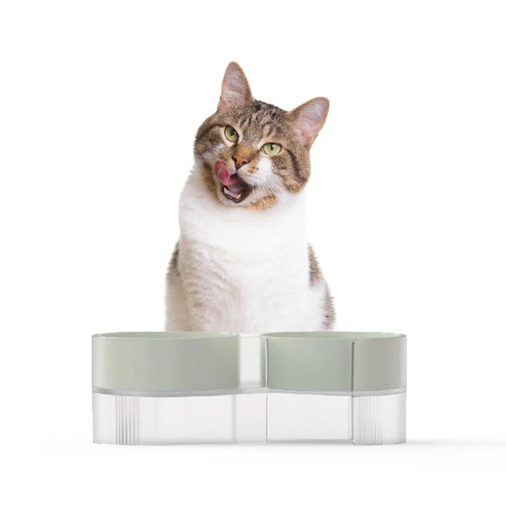 PIDAN Green Dual Bowl Cat Feeding & Drinking Supplies - Image 3