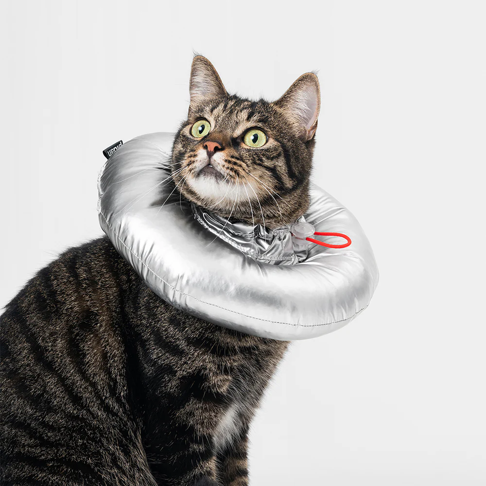 PIDAN Trap Cloth Elizabeth Pet Collar - Image 2