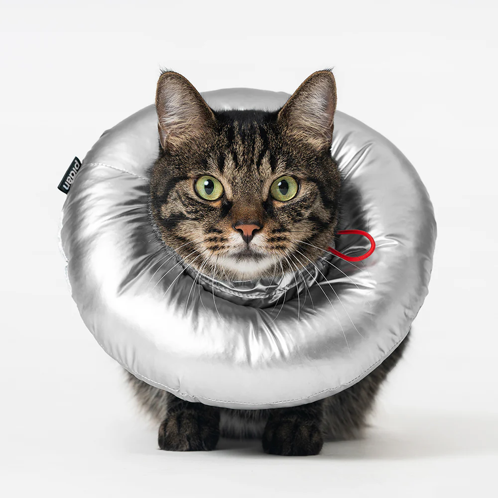 PIDAN Trap Cloth Elizabeth Pet Collar - Image 4