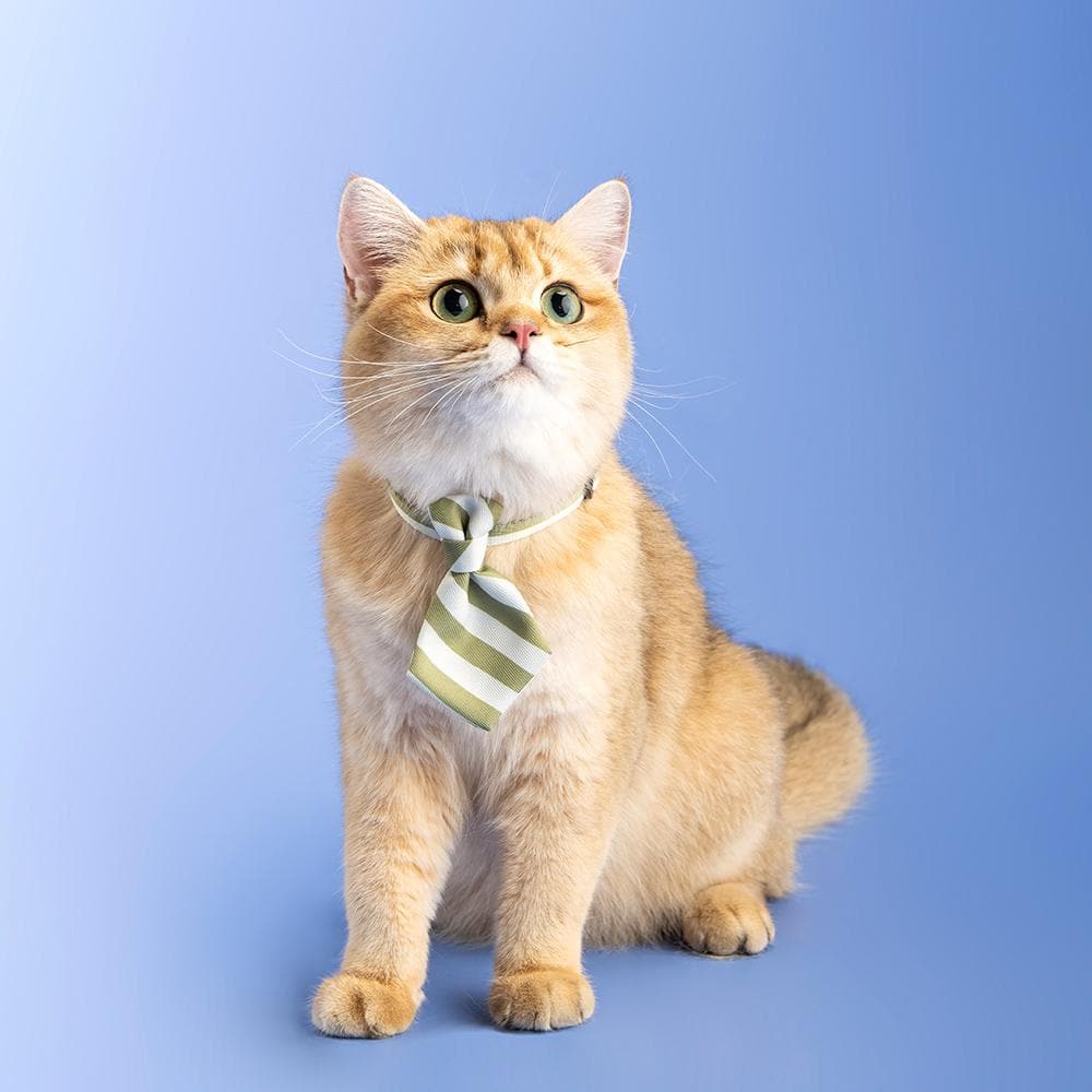 PIDAN Green Stripe Cat Necktie - Image 2
