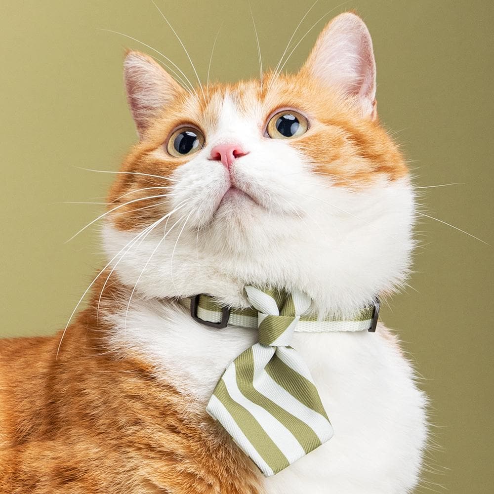 PIDAN Green Stripe Cat Necktie - Image 3