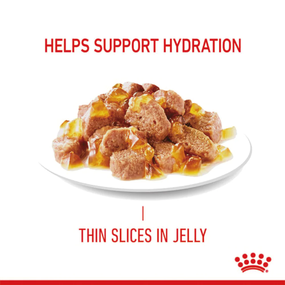 ROYAL CANIN Hair & Skin Care Jelly Adult Wet Cat Food 85g (previously Intense Beauty) - Image 3