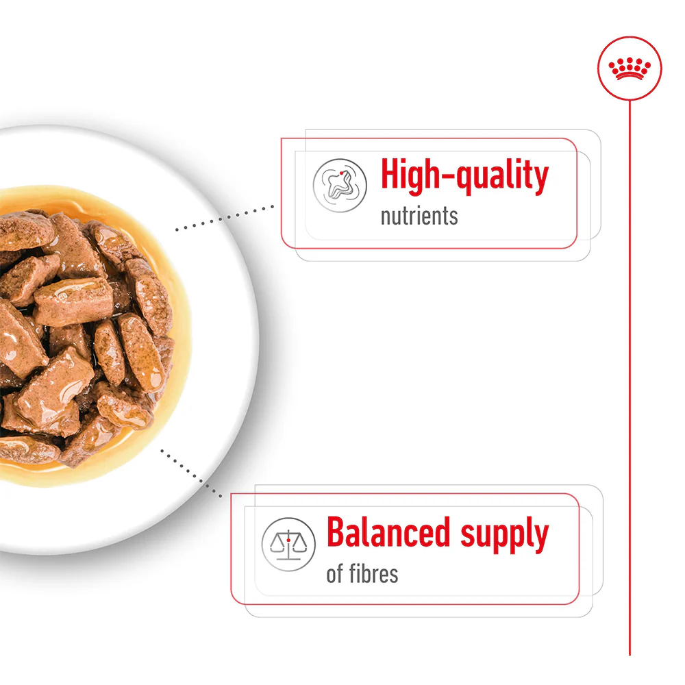 ROYAL CANIN Maxi Adult Wet Dog Food - Image 7