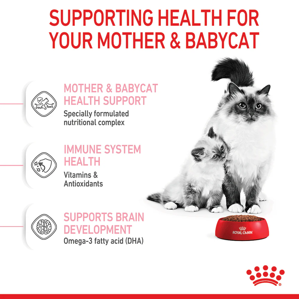 ROYAL CANIN Mother & Babycat Dry Cat Food 10kg - Image 3
