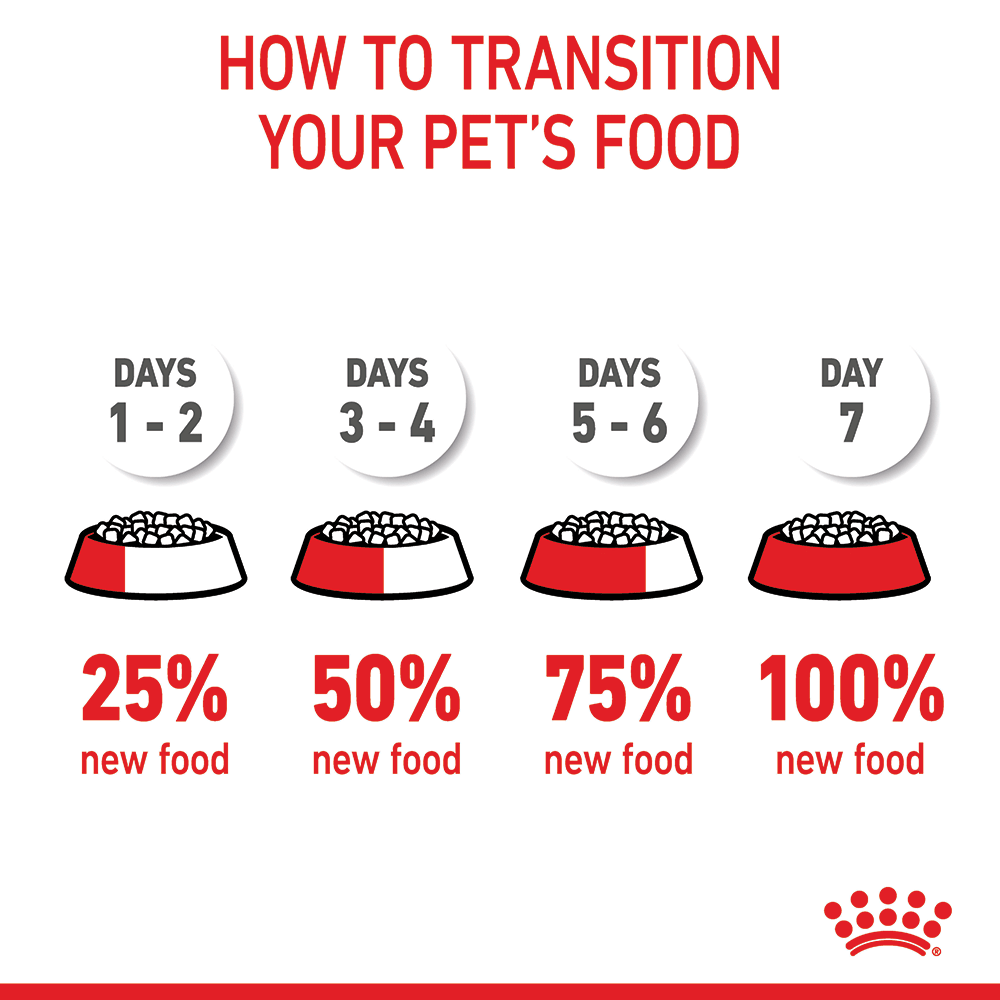 ROYAL CANIN Mother & Babycat Dry Cat Food 10kg - Image 5