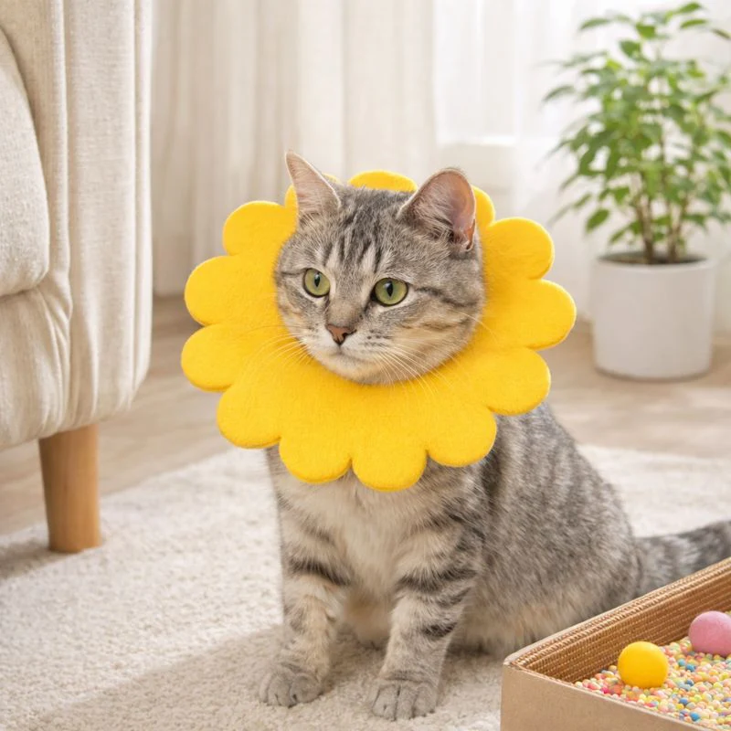 Sunflower Pet Recovery Cone Elizabethan Collar - Image 4