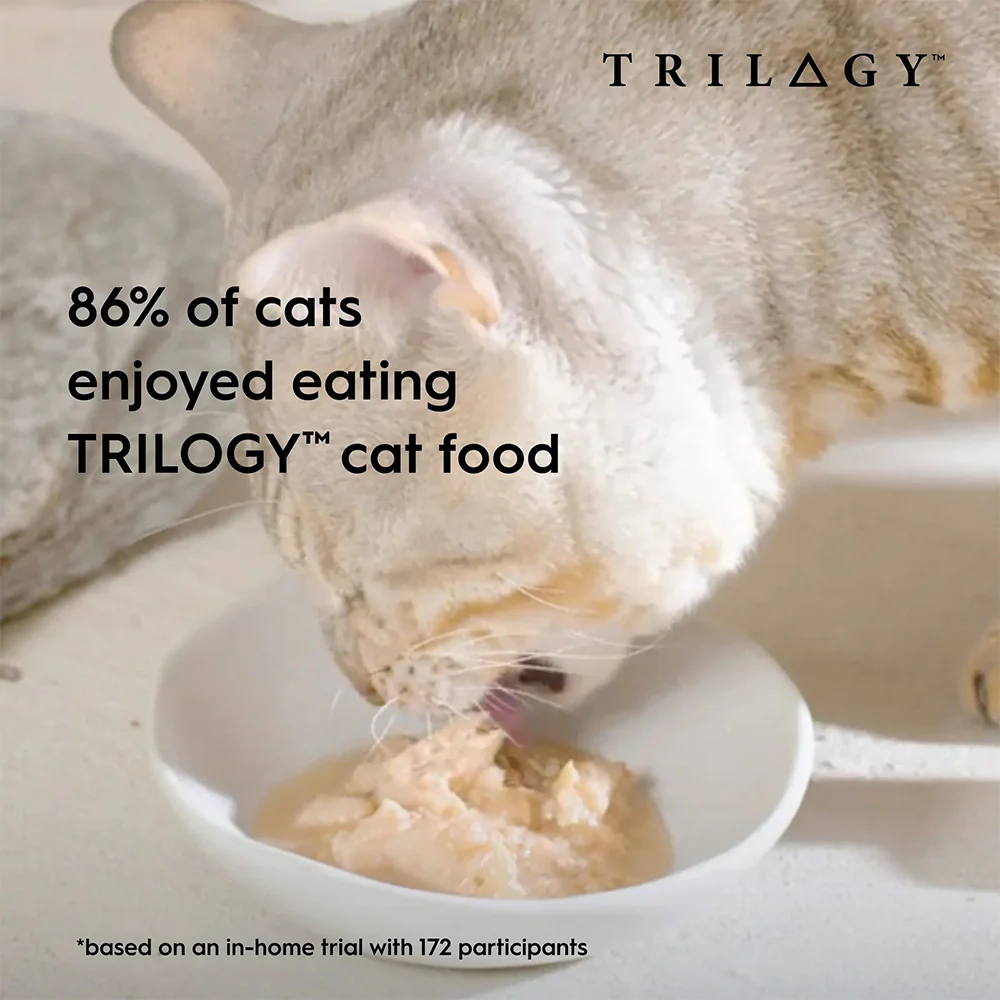 TRILOGY Complete Prey Pate Chicken Adult Canned Cat Food - Image 4