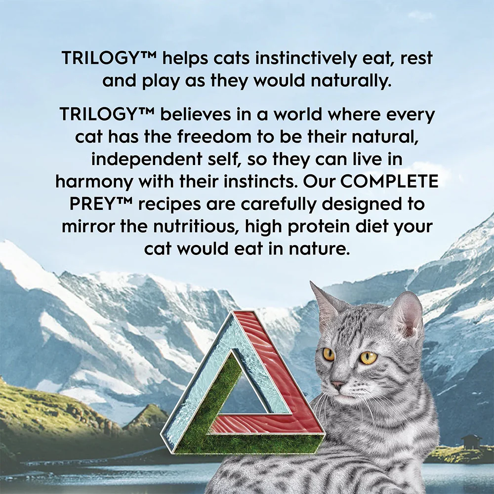 TRILOGY Complete Prey Pate Salmon Adult Canned Cat Food - Image 4