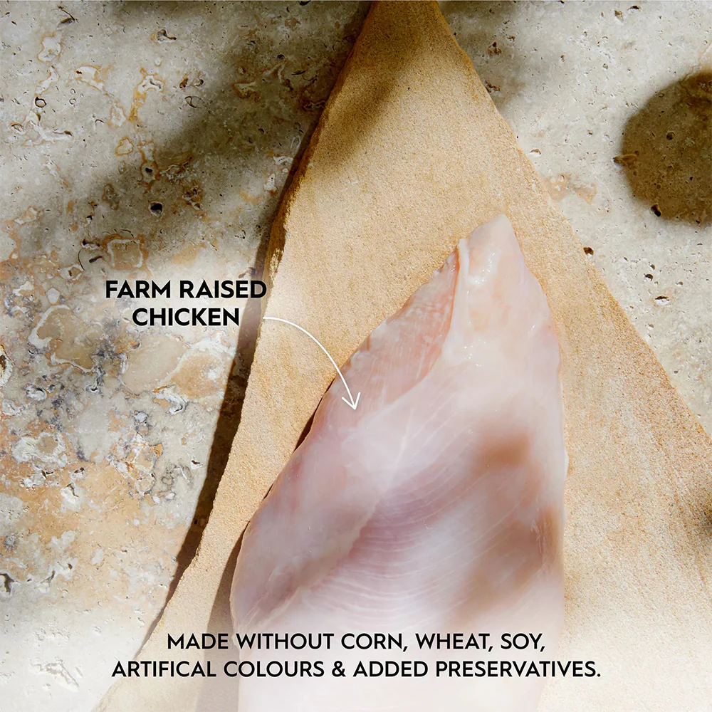 TRILOGY Farm Raised Chicken in Bone Broth Adult Canned Cat Food - Image 4