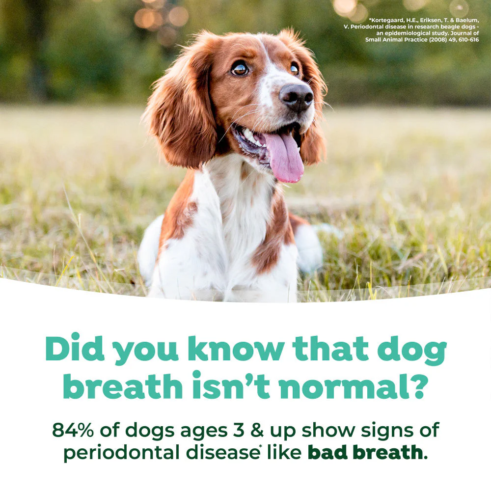 TROPICLEAN Fresh Breath Original Oral Care Spray For Dogs 118ml - Image 4