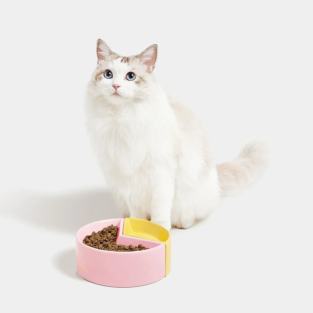 VETRESKA Grapefruit Fruity Pet Dual Bowl - Image 2
