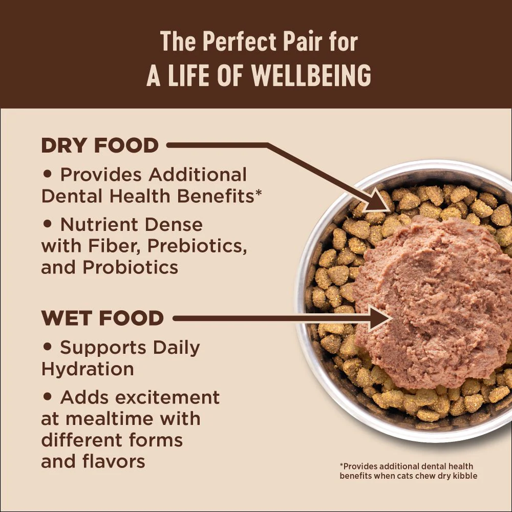 WELLNESS Core Grain Free Chicken Indoor Dry Cat Food 2.27kg - Image 5