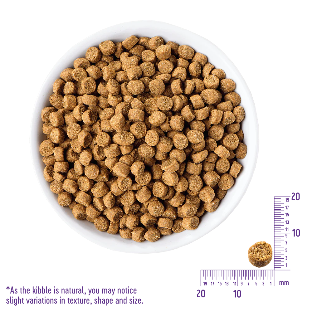 WELLNESS Core Grain Free Chicken & Turkey Kitten Dry Cat Food 2.27kg - Image 4
