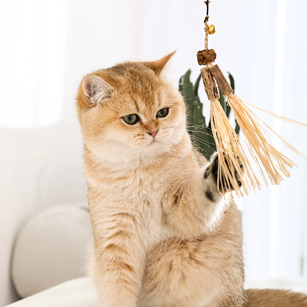 Wooden Catnip Stick Cat Teaser - Image 7