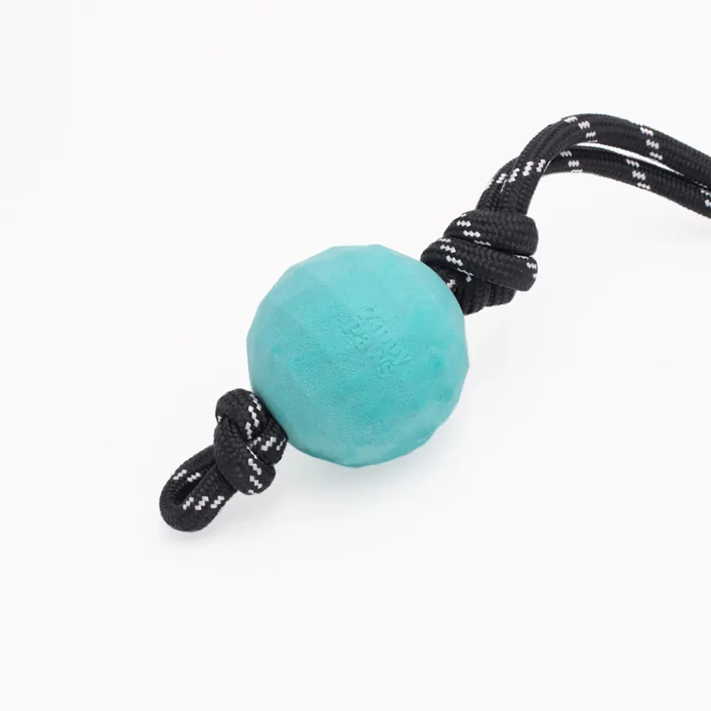 ZIPPY PAWS ZippyTuff Waggle RopeTugz Babble Ball Dog Toy - Image 3